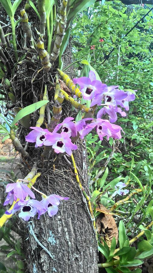Rancho Aratama Bed and breakfast