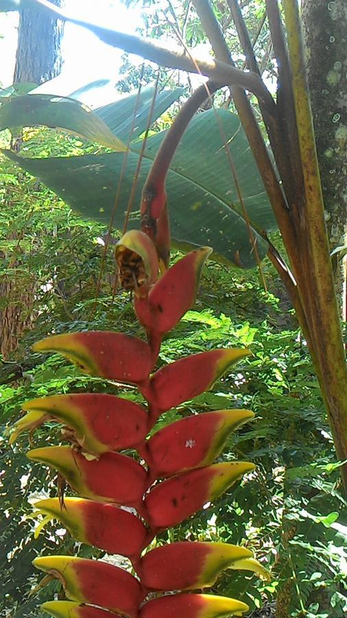 Rancho Aratama