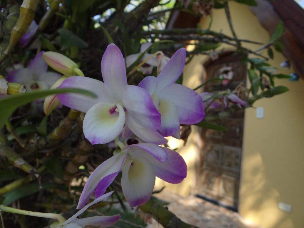 Bed and breakfast Rancho Aratama