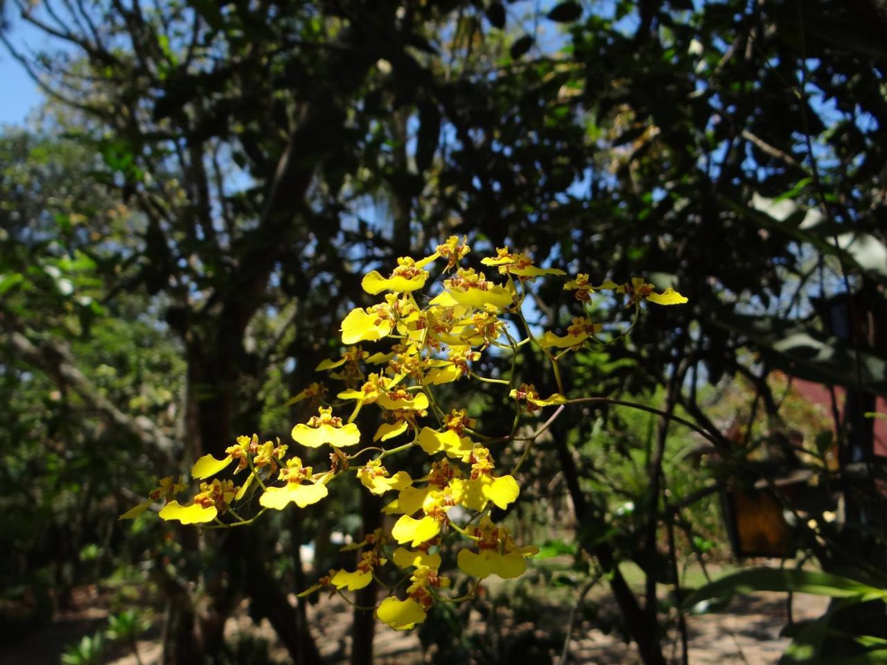 Bed and breakfast Rancho Aratama *