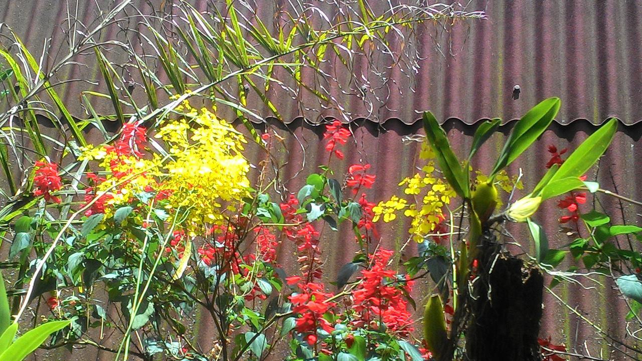 Chale Rancho Aratama Bed & Breakfast Jacarei